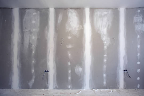 Best Mold Odor Removal Services  in Easley, SC